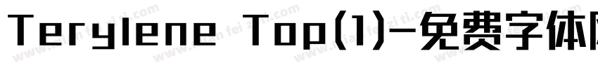 Terylene Top(1)字体转换